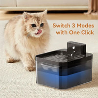 Kivo™ Automatic Pet Water Fountain